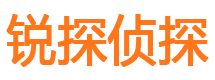 东河私家侦探公司